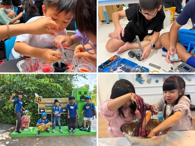 Newtonshow Multiactivity Camp