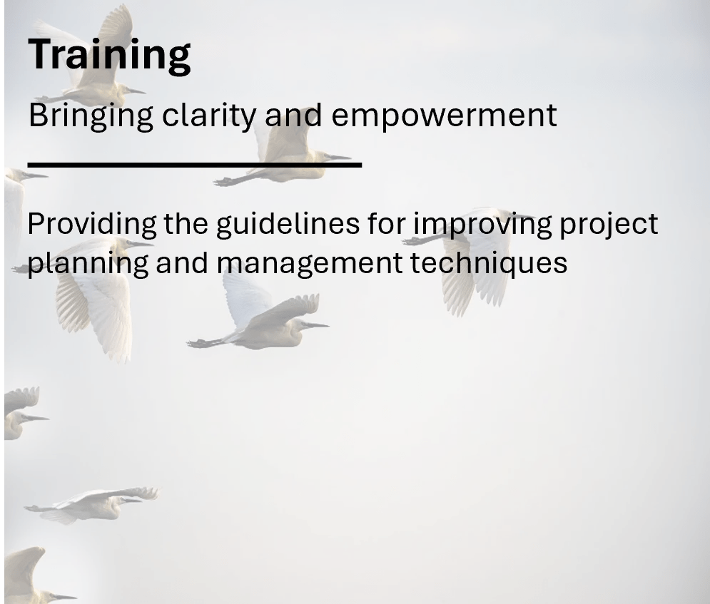 Strategic PMO Services - a picture showing a graphic with white storks flying describing Butler Fox's Training and Development offerings