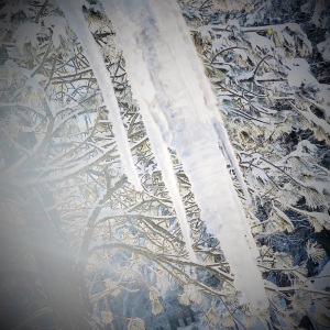 icicles