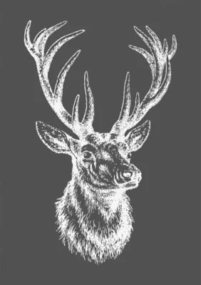 Hirsch Zeichnen Lernen Schritt Fur Schritt Tutorial Zeichnen Leicht Gemacht