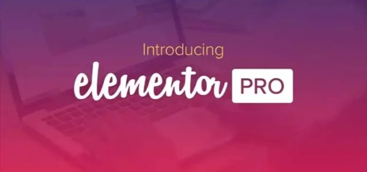 Elementor PRO WordPress Page Builder