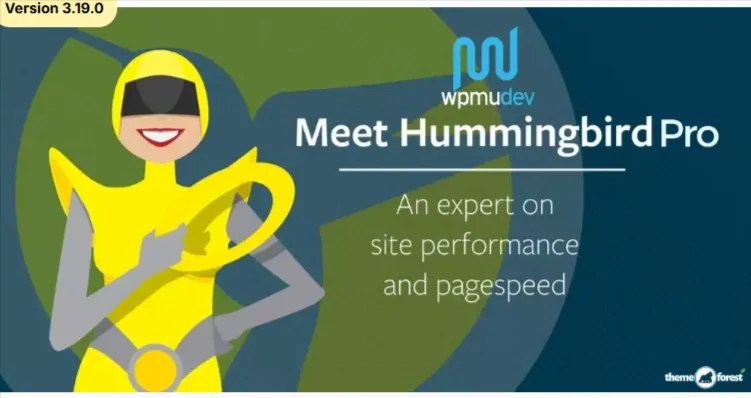 WPMU DEV Hummingbird Pro