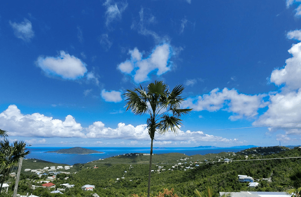 photo-sizing9.webp