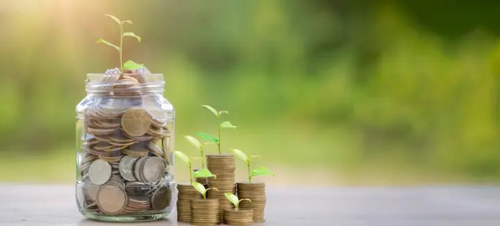 Mutual fund