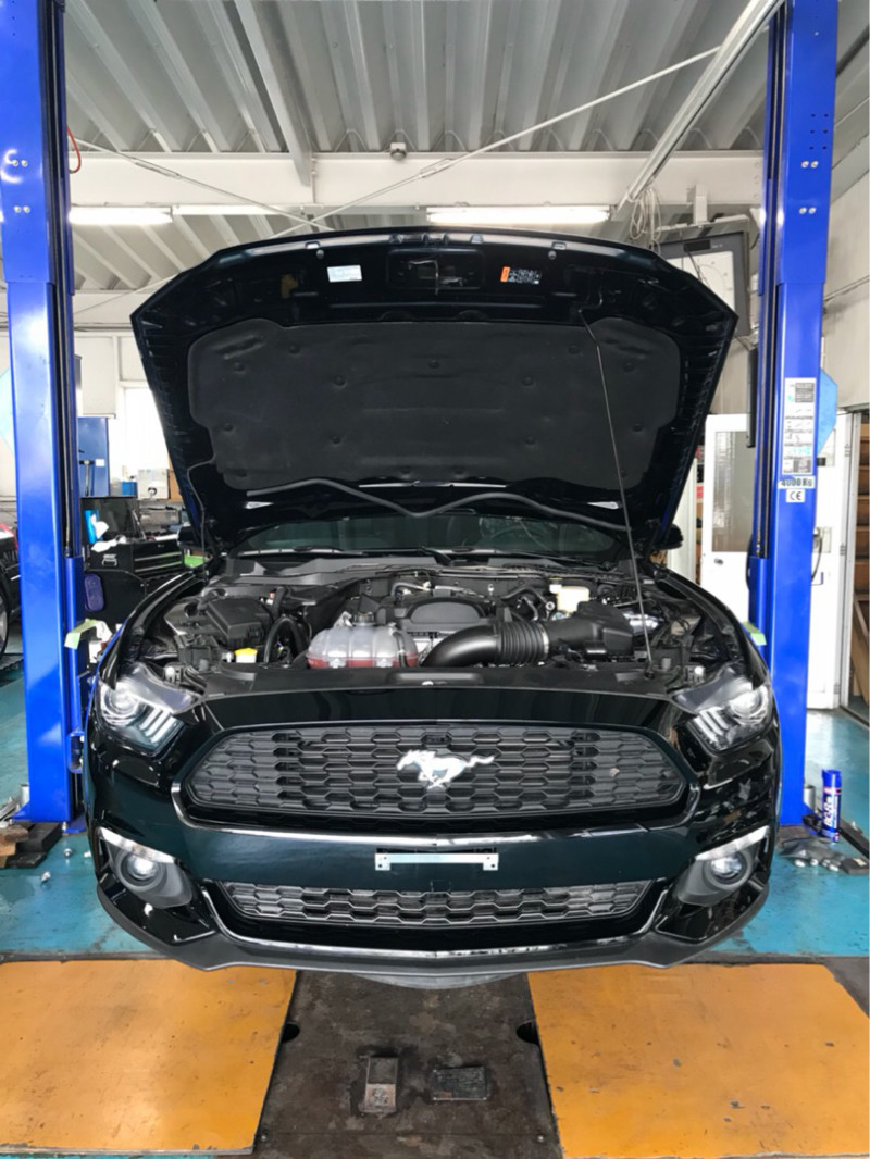 17 フォード マスタング エコブースト エアコンフィルター交換 - BUZZ