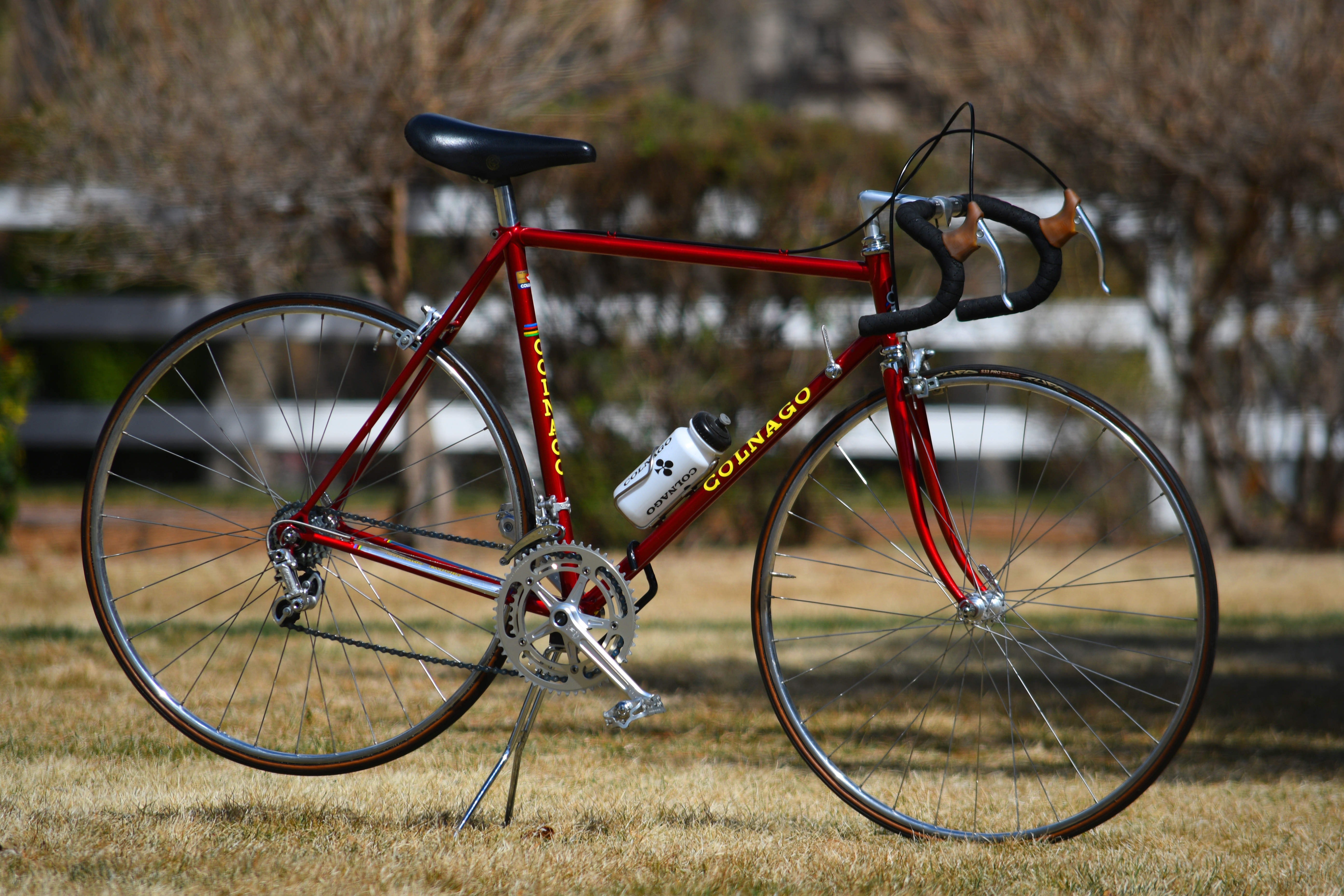 1977 Colnago “Export” (yes, that's actually its name) | Buzz Bomb