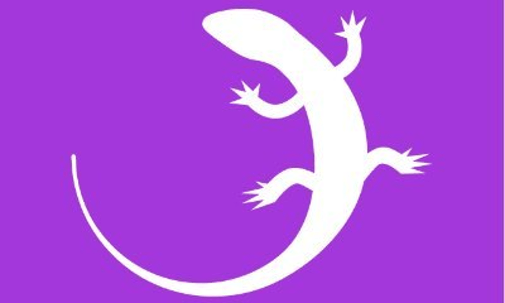 Exploring Quizgecko: The Ultimate Learning Platform