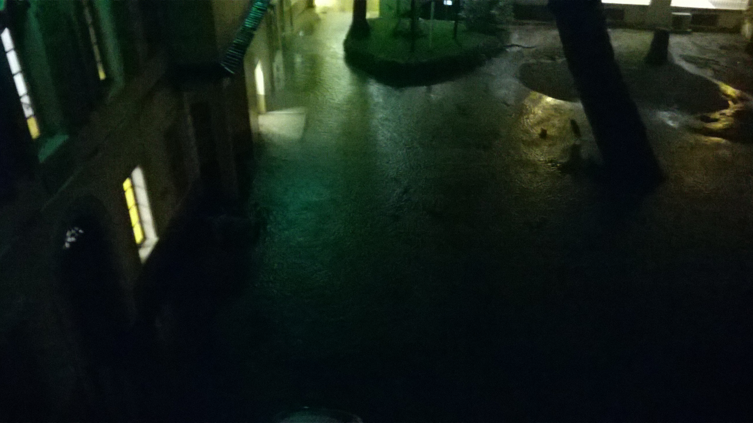 Les dégâts sont considérables ici au Collège International de Cannes (Crédit Photo : Cassandra Rolland)