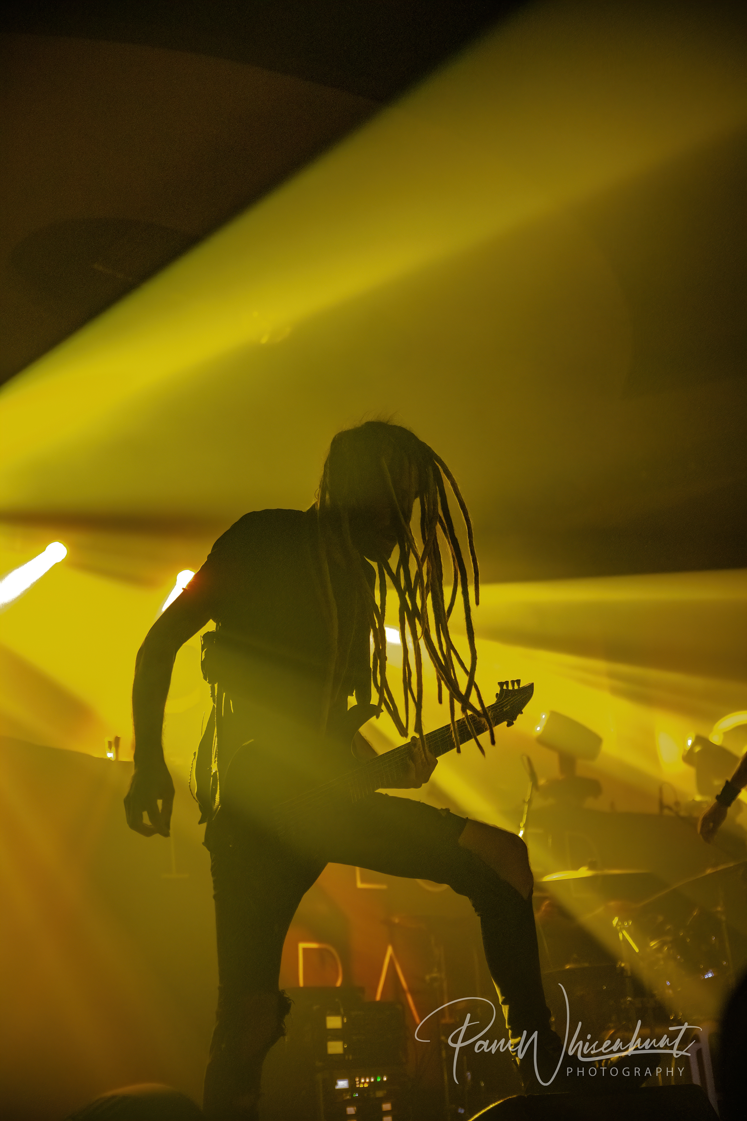 IMG_2995-SharpenAI-stabilize copy