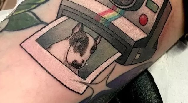 15 Bull Terrier Tattoo Ideas - Buzzsharer.com 351_x_639_jpg