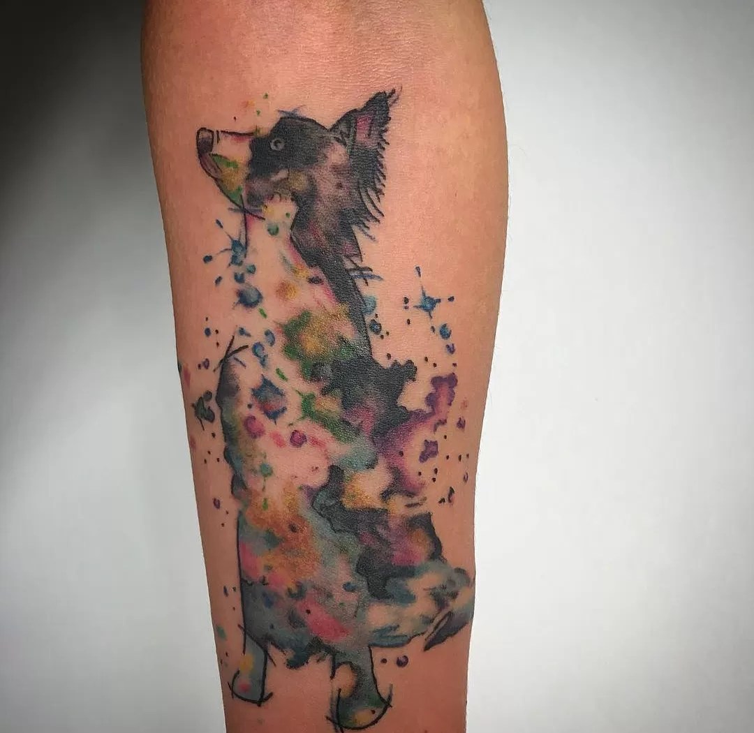 15 Border Collie Tattoo Ideas - Page 5 Of 5 - Buzzsharer.com 1050_x_1080_jpg