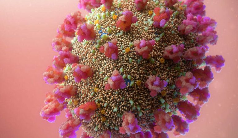 As per new reports, the new strain of delta variant is not more infectious than the other strains of covid, ani cited nrk broadcaster report citing the norwegian institute of public health (niph). What is the Delta plus variant? - Buzztaboo