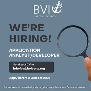 BVIPA-Vacancy--Application-Analyst-Developer