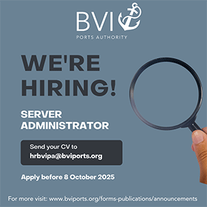 https://bviports.org/publications