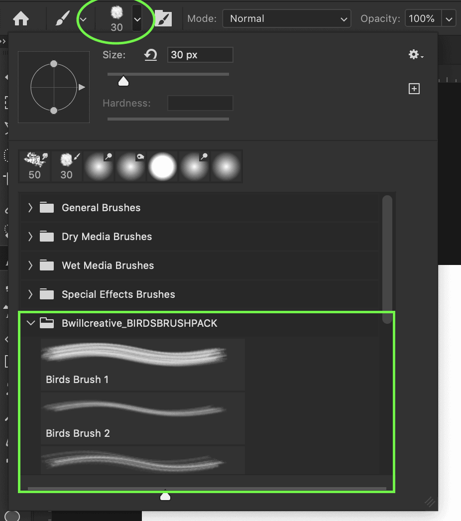 How do install coolorus cc gaiwolf