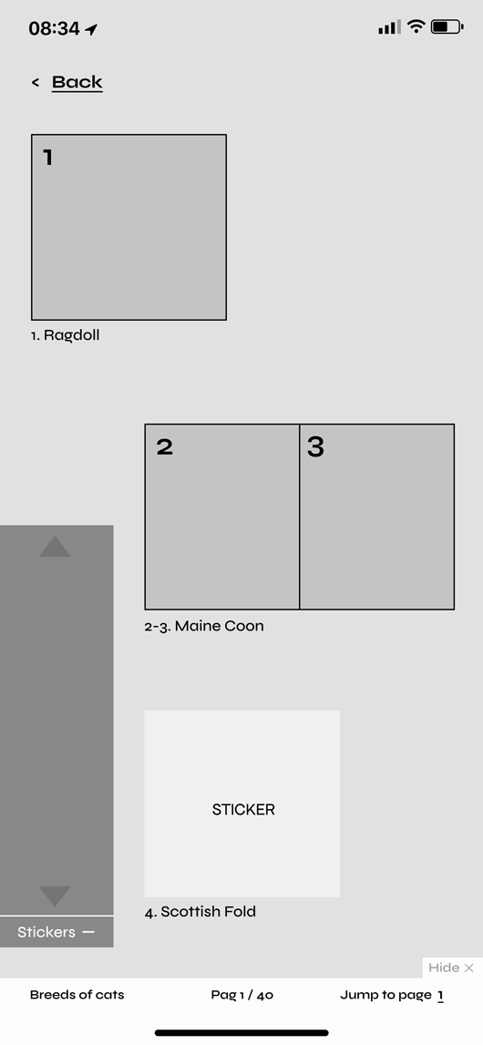Before screen of learn more in wireframes