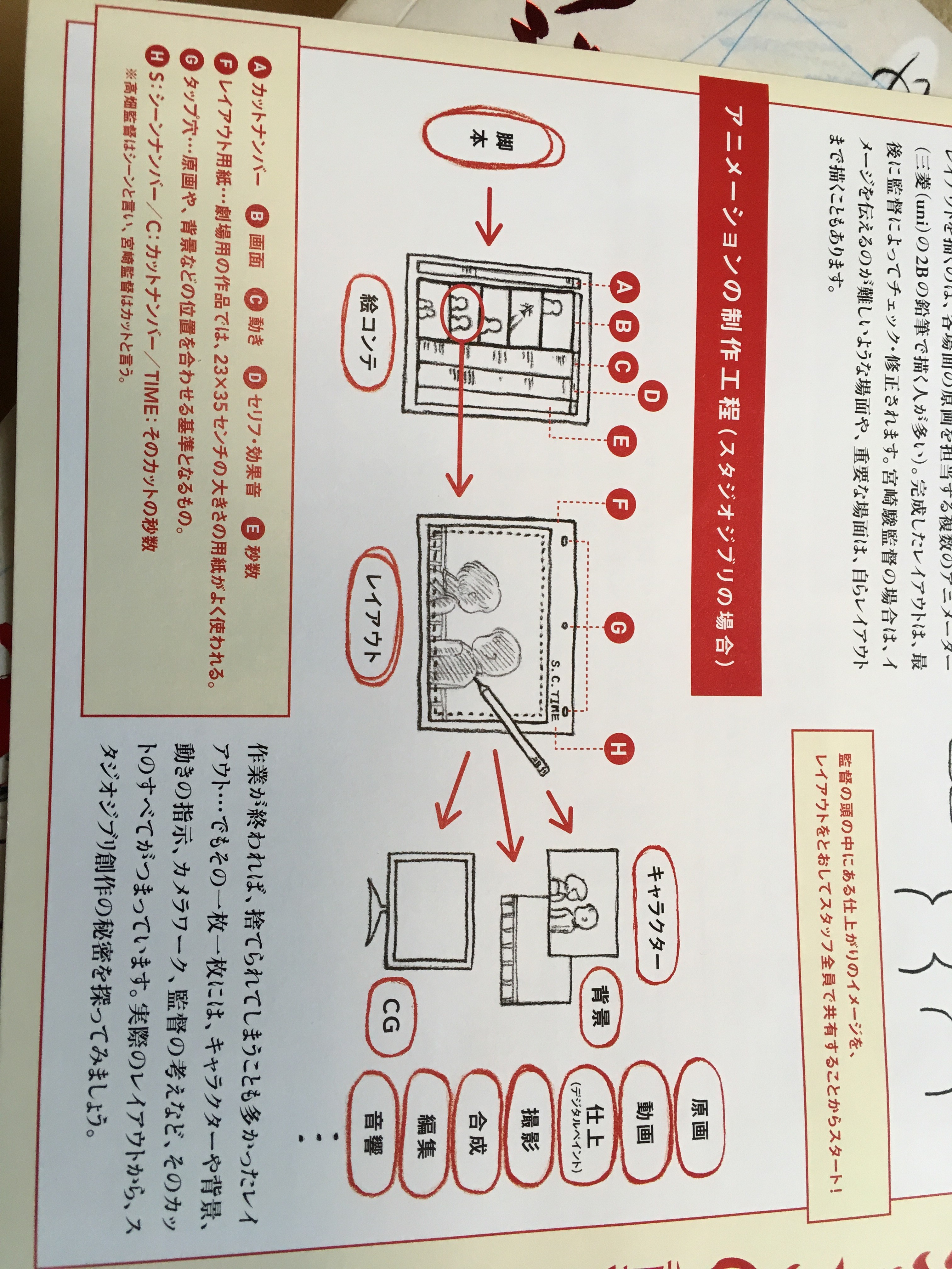 希少 1978年 スコットランドサッカー協会(SFA)第1回年鑑 初版本-