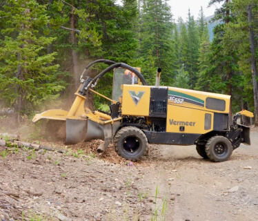 Superior Stump Removal
