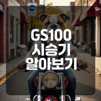 전기스쿠터 GS100 시승기 서초동 체험은 어땠나