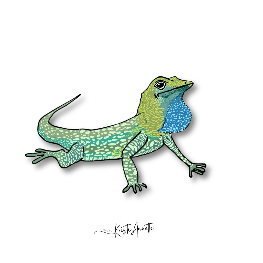Our Little Chameleon
