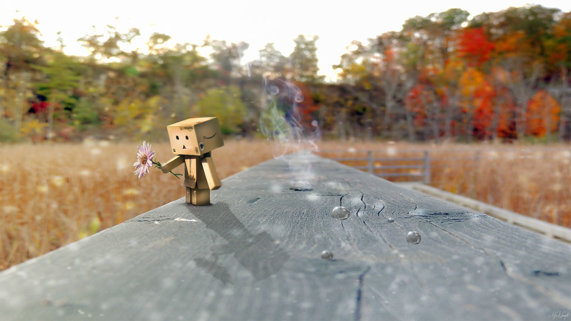 Kerns Danbo