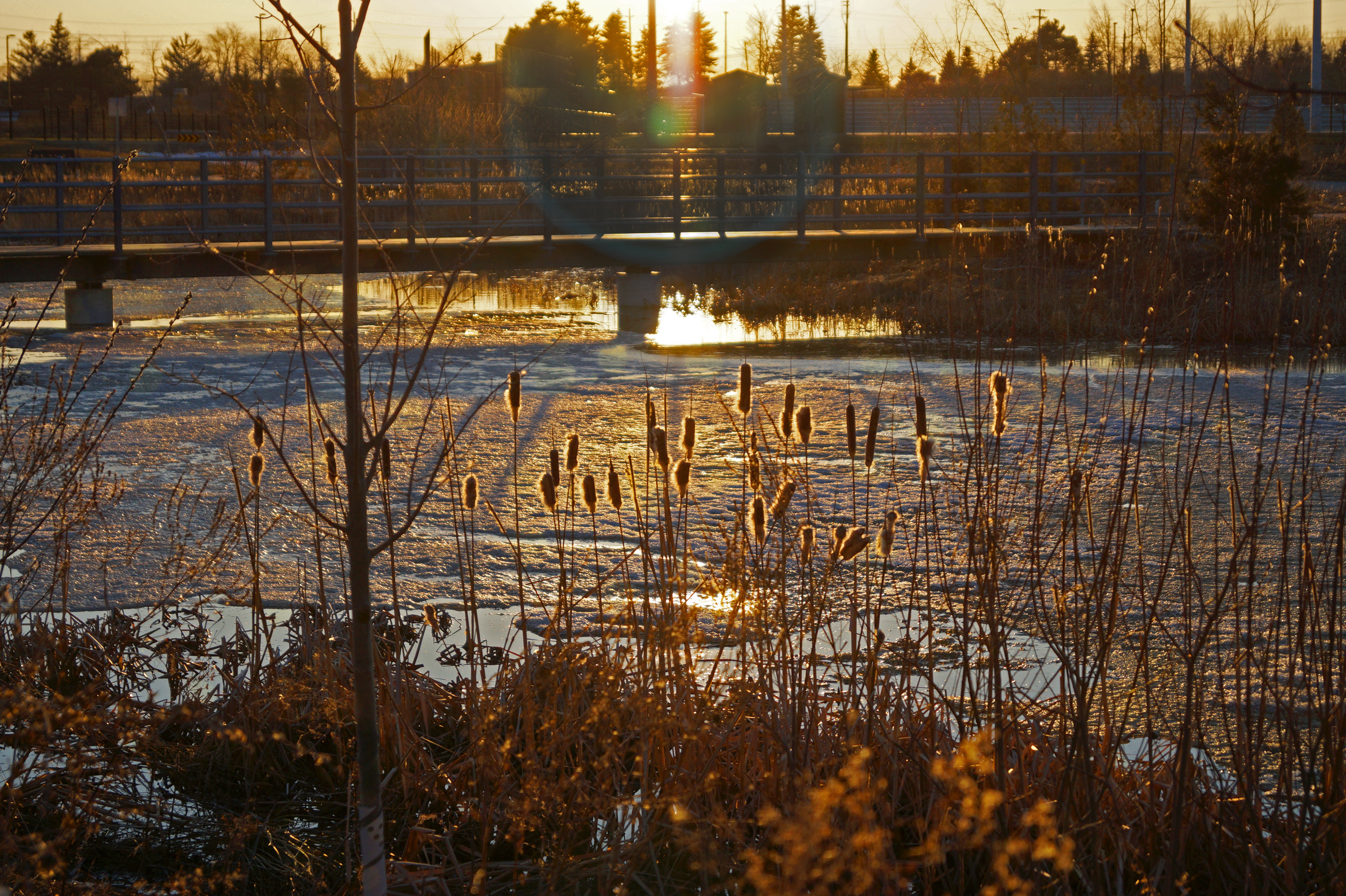 McNaughtEric - Bi-Weekly Assignment #5 - Backlighting