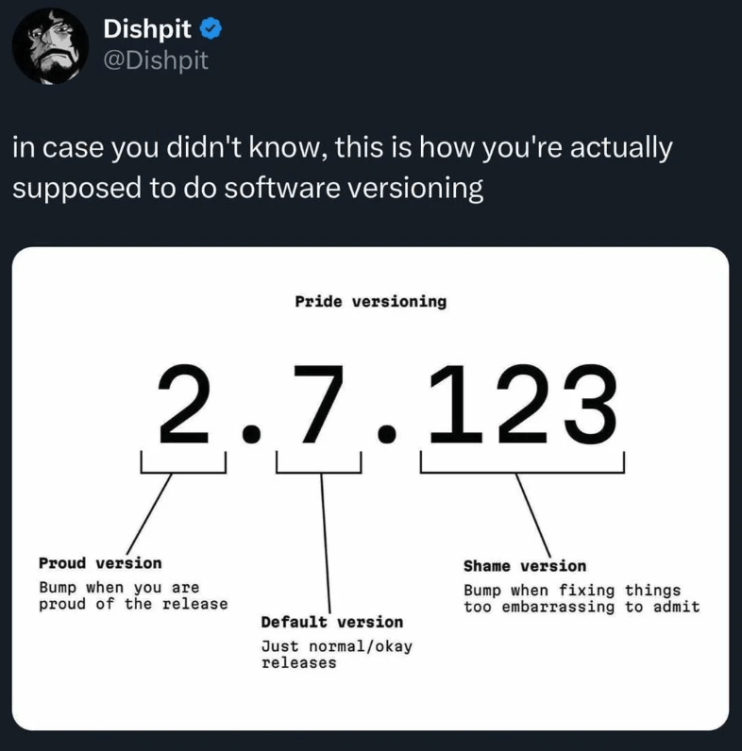 Humorous chart about “Pride versioning” in software, showing a version number split into “Proud version,” “Default version,” and “Shame version,” with each segment indicating the emotional reasoning behind version bumps.