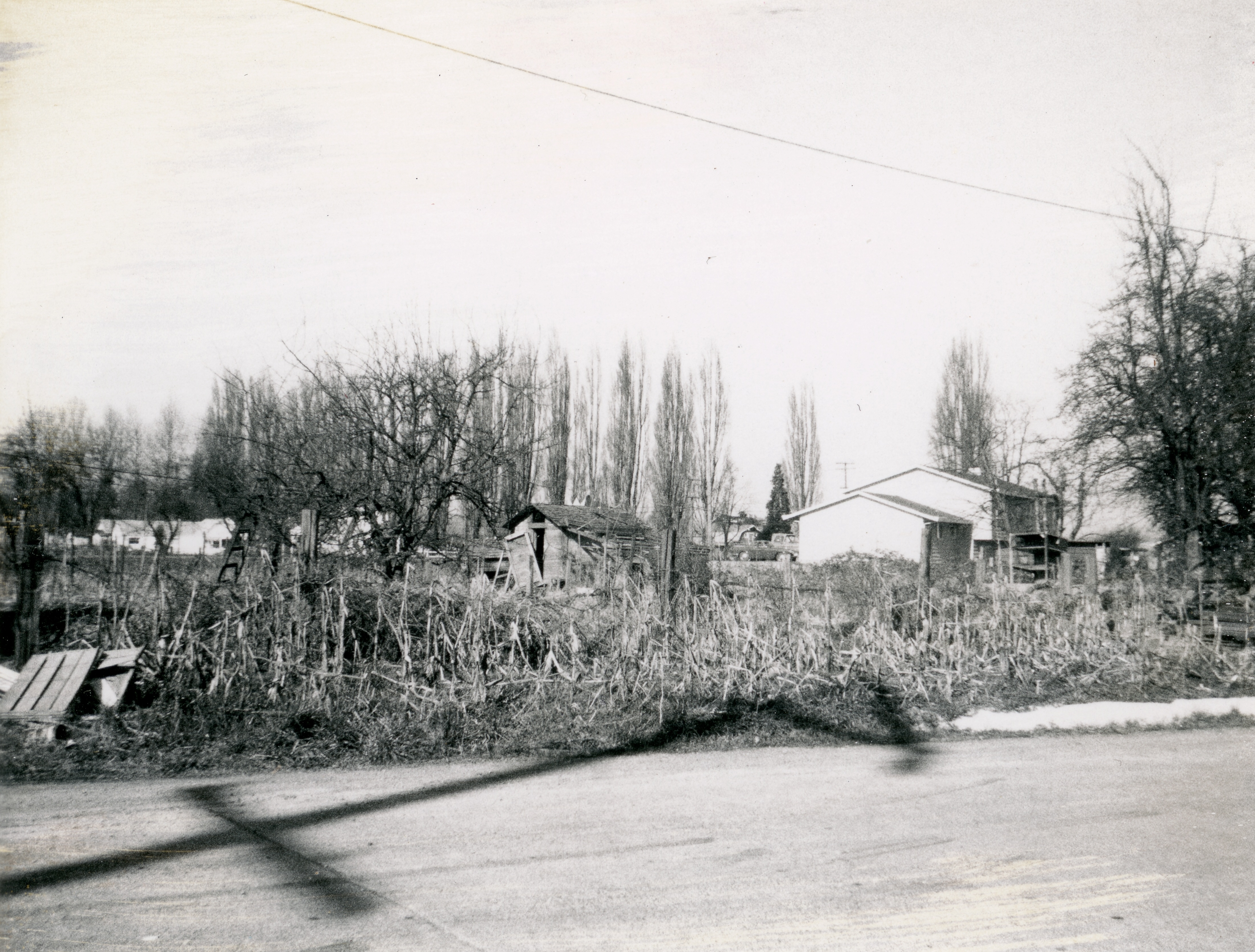 resolution29839_010_cropped