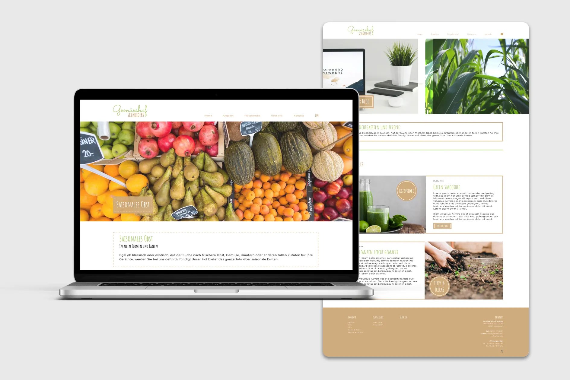 schneiders-web