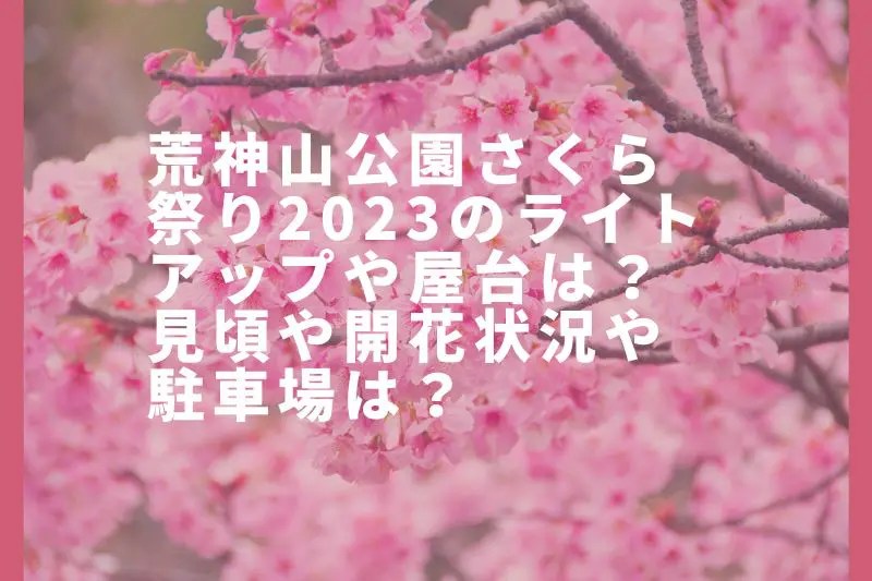 荒神山公園さくら祭り2023ライトアップや屋台は？見頃や開花状況や駐車場は？