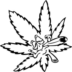 NAKLEJKA MARIHUANA liść marihuany zioło 14X14cm 5999876057 Allegro pl