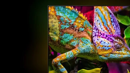 E8S_Hi-QLED Colour
