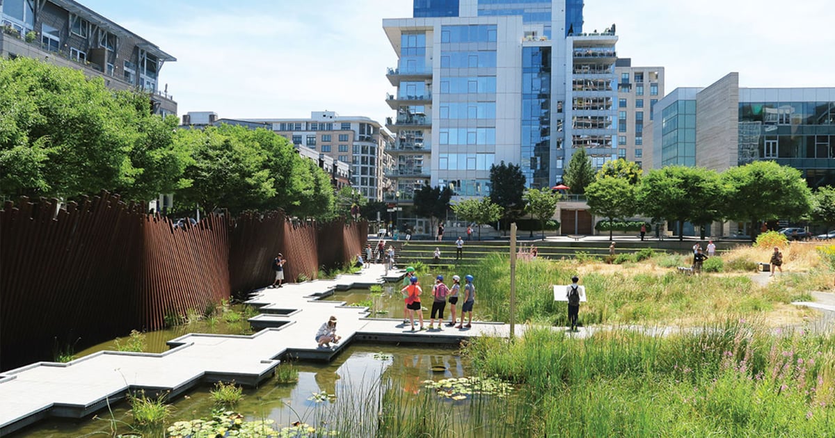 Climate Adaptation And Resilience How Blue Green Infrastructure