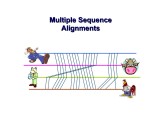 Ppt Multiple Sequence Multiple Sequence Alignments Alignments
