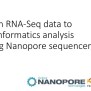 [PPT] - From RNA-Seq Data To Bioinformatics Analysis Using Nanopore ...
