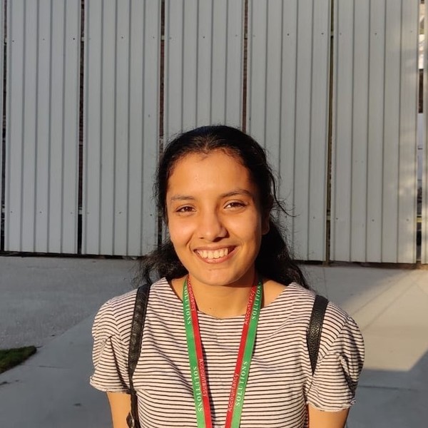 Samar S Pgdca Computer Science Teacher With 8 Years Experience In Teaching Coding In C Java - Professional Light Pattern - 8K