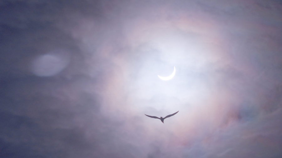Infos 10 fakten zum vollmond 2021 foto: Wann ist die nÃ¤chste Sonnenfinsternis in Berlin?