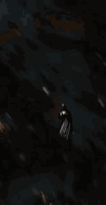 Sun Superman Gifs Tenor
