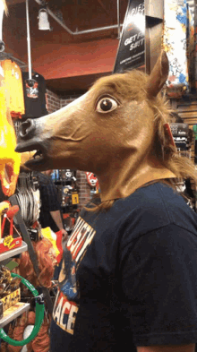 You can select any horse meme from our gallery and use it as you want. High Horse Meme Gifs Tenor
