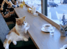 50 gambar animasi bergerak gif lucu paling top. Cat Work Gifs Tenor