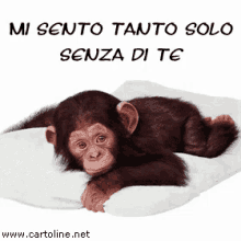 Manqui Gifs Tenor