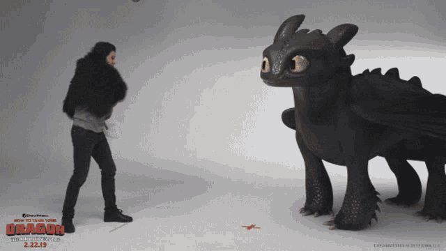 photo How To Train Your Dragon Toothless Gif how to train your dragon toothless gif