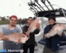 wallpapers Funny Fishing Birthday Gif happy birthday with fish gifs tenor