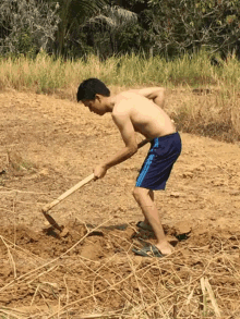wallpapers Indian Farmer Cartoon Gif farmer gifs tenor