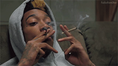 pic Weed Gif tenor