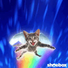 Flying Cat Gifs Tenor