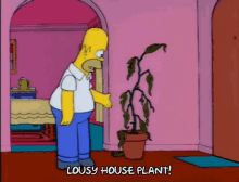 When krehel suspects a plant is getting close, he sets it inside a light . Dead Plant Gifs Tenor