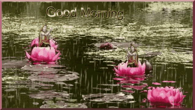 pix Flower Good Morning Rain Gif tenor