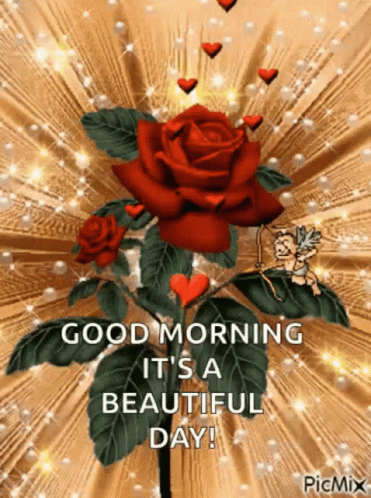 images Picmix New Good Morning Gif tenor