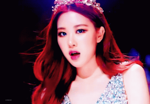 photo Gifs De Rose Blackpink tenor